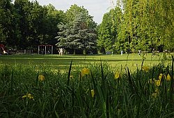 Foto: Stadtteil Holsterhausen