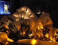 Foto: Heidenblut, Essen-Holsterhausen